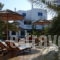 Iro's Boutique_best deals_Apartment_Cyclades Islands_Mykonos_Kalafatis