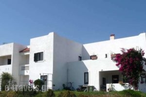 Ilios & Irini_accommodation_in_Apartment_Dodekanessos Islands_Kos_Mastichari