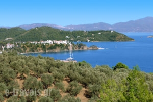 Gea Villas Skiathos_accommodation_in_Villa_Sporades Islands_Skiathos_Skiathos Chora
