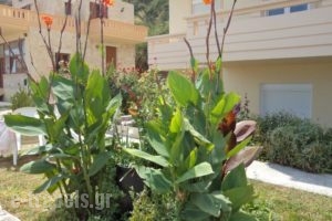 Asterina Seaside Apartments_lowest prices_in_Apartment_Crete_Chania_Fournes