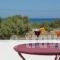 Paravatos studios_lowest prices_in_Apartment_Cyclades Islands_Schinousa_Schinousa Rest Areas