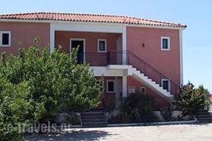 Gerasimoula Studios_best prices_in_Hotel_Ionian Islands_Kefalonia_Vlachata