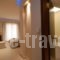 Hotel Alkionis_lowest prices_in_Hotel_Peloponesse_Ilia_Kakovatos