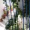 Gianna Studios_holidays_in_Apartment_Ionian Islands_Lefkada_Perigiali