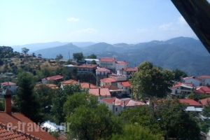 Aeropi_holidays_in_Room_Macedonia_Grevena_Kranea - Krania
