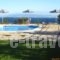 Gerasimoula Studios_best deals_Hotel_Ionian Islands_Kefalonia_Vlachata