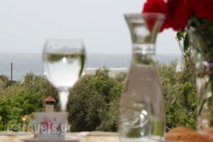 Dimitra Studios_holidays_in_Hotel_Cyclades Islands_Ios_Ios Chora