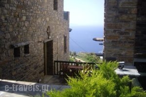 Althea_accommodation_in_Apartment_Cyclades Islands_Andros_Andros Rest Areas