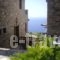 Althea_accommodation_in_Apartment_Cyclades Islands_Andros_Andros Rest Areas