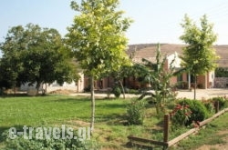 Areti_s __1