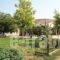 Areti_accommodation_in_Room_Peloponesse_Argolida_Iria