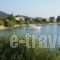 Fanis_best prices_in_Room_Ionian Islands_Lefkada_Nikiana