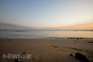 Papachrysanthou Apartments_accommodation_in_Apartment_Peloponesse_Ilia_Arkoudi
