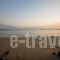 Papachrysanthou Apartments_accommodation_in_Apartment_Peloponesse_Ilia_Arkoudi