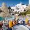 Nefeli_holidays_in_Hotel_Sporades Islands_Skyros_Skyros Chora