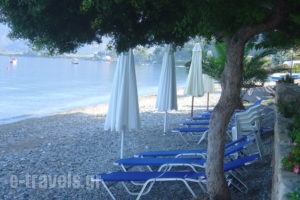 Georgiou Rooms & Apartments_best prices_in_Apartment_Central Greece_Evia_Rovies