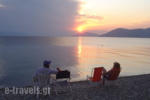 Georgiou Rooms & Apartments_holidays_in_Apartment_Central Greece_Evia_Rovies