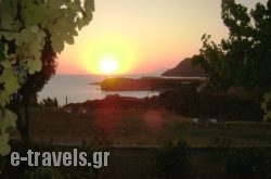 Sunset_s __1