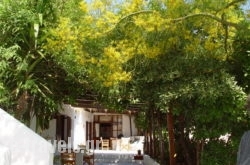 Agnadema in Skyros Rest Areas, Skyros, Sporades Islands