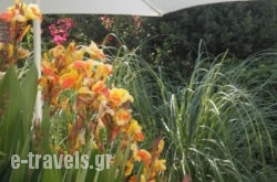Aigialis_s __1