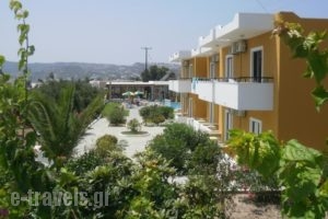 Manolis Studios_best deals_Hotel_Dodekanessos Islands_Kos_Kos Rest Areas