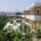 Manolis Studios_best deals_Hotel_Dodekanessos Islands_Kos_Kos Rest Areas