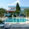 Vergas Hotel Malia_holidays_in_Hotel_Crete_Heraklion_Malia