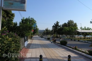 Iliovasilema - Sunset Apartments_accommodation_in_Apartment_Central Greece_Evia_Pefki