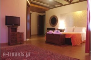 Apsis Hotel_travel_packages_in_Macedonia_Kozani_Emporio