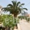 Venetia Apartments_lowest prices_in_Apartment_Peloponesse_Lakonia_Monemvasia