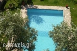 Byzantion Hotel_s __1