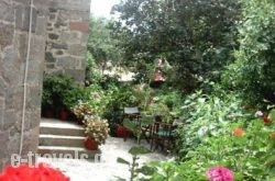 Marianthi Toroz Rooms & Studios in Mythimna (Molyvos) , Lesvos, Aegean Islands