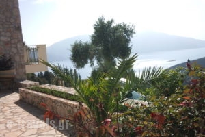 Villa Bolios_accommodation_in_Villa_Ionian Islands_Kefalonia_Matsoukata