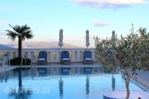 Amaryllis Hotel Apartments_best prices_in_Apartment_Peloponesse_Argolida_Tolo