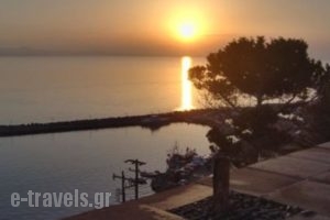Villa Annie_lowest prices_in_Villa_Aegean Islands_Lesvos_Mythimna (Molyvos