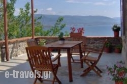 Villa Annie_s __1