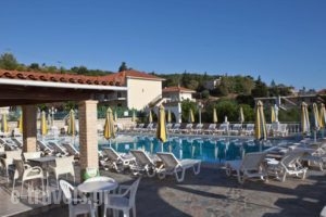Family Inn_holidays_in_Hotel_Ionian Islands_Zakinthos_Zakinthos Chora