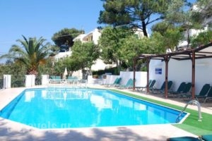 Anthemis Hotel Apartments_best prices_in_Apartment_Aegean Islands_Samos_Samosst Areas