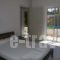 Mediterranea_accommodation_in_Apartment_Crete_Chania_Daratsos