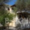 Areti Orfeas Apartments_best deals_Room_Ionian Islands_Zakinthos_Zakinthos Rest Areas