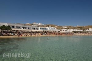 Acrogiali Hotel_travel_packages_in_Cyclades Islands_Mykonos_Platys Gialos