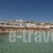 Acrogiali Hotel_travel_packages_in_Cyclades Islands_Mykonos_Platys Gialos