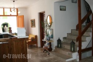 Vassiliki Rooms_best deals_Room_Cyclades Islands_Paros_Paros Chora