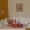 Vassiliki Rooms_best prices_in_Room_Cyclades Islands_Paros_Paros Chora