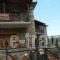 Evrostini Hostel_holidays_in_Room_Peloponesse_Korinthia_Evrostina