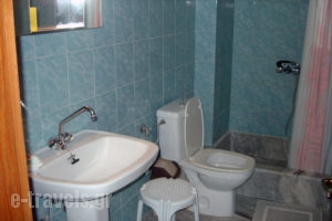 Papachrysanthou Apartments_lowest prices_in_Apartment_Peloponesse_Ilia_Arkoudi