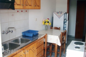 Papachrysanthou Apartments_travel_packages_in_Peloponesse_Ilia_Arkoudi