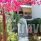Papachrysanthou Apartments_best deals_Apartment_Peloponesse_Ilia_Arkoudi