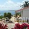 Ventura Rooms_accommodation_in_Room_Ionian Islands_Kefalonia_Kefalonia'st Areas