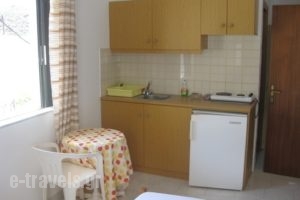 Argiro Apartments_best prices_in_Apartment_Crete_Rethymnon_Aghia Galini